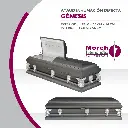 WhatsApp Image 2025-03-13 at 1.59.47 PM.webp